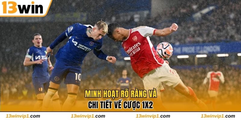 Minh hoạt rõ ràng và chi tiết về cược 1x2
