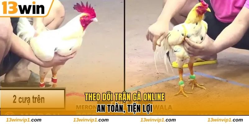 Theo dõi các cuộc chiến online an toàn, tiện lợi